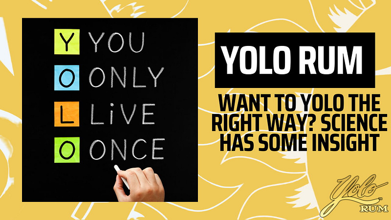 Yolo the right way blog header